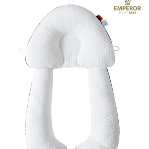 MoonBug Pillow